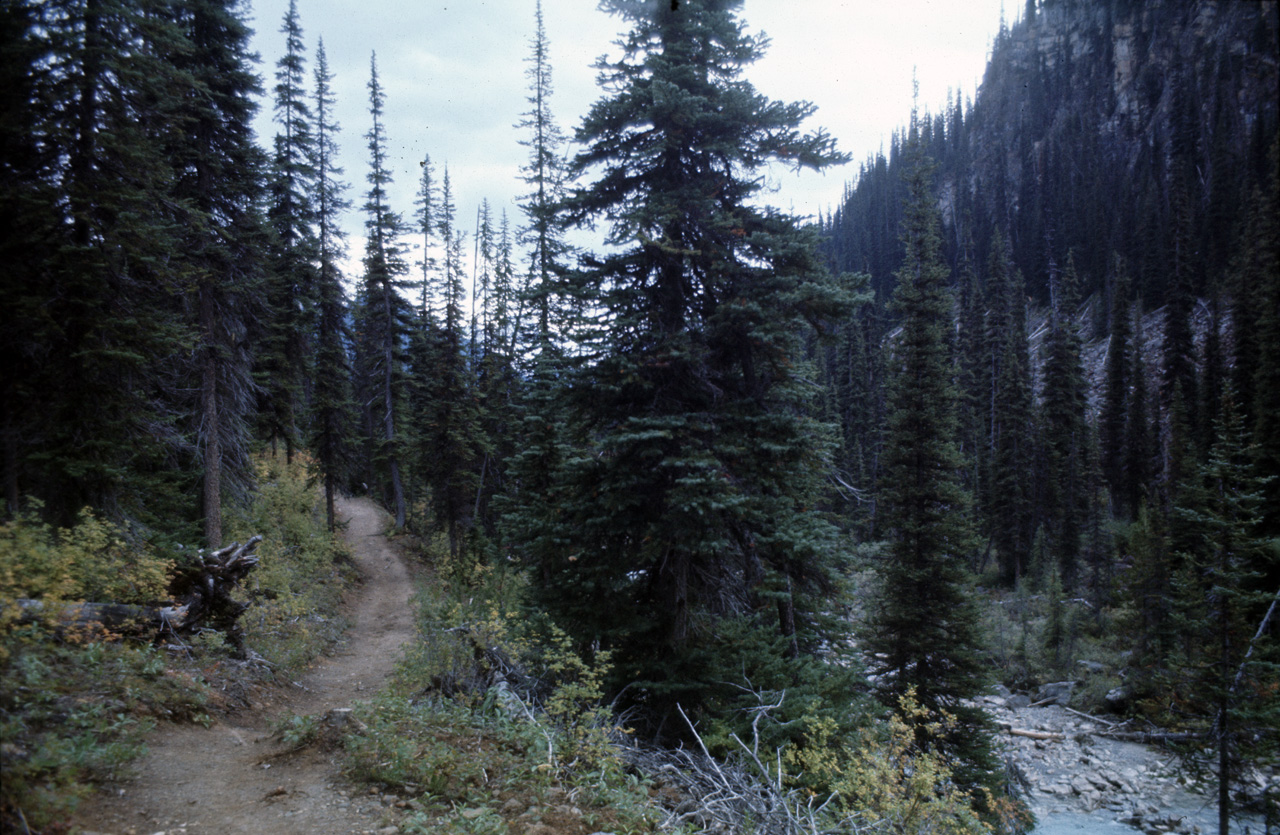 72-09-15, 249, Yoho Park, Tail up to Glacier, BC, Ca