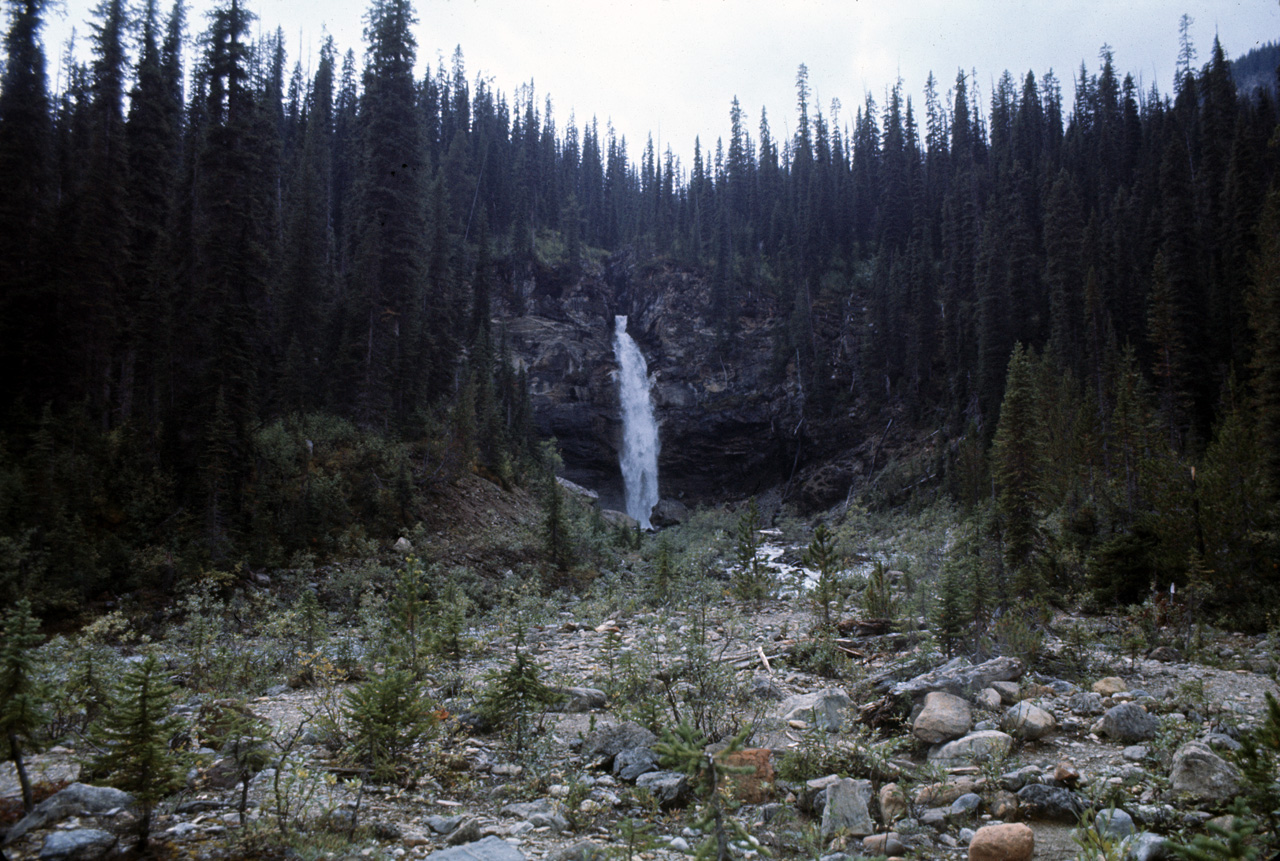 72-09-15, 250, Yoho Park, Tail up to Glacier, BC, Ca