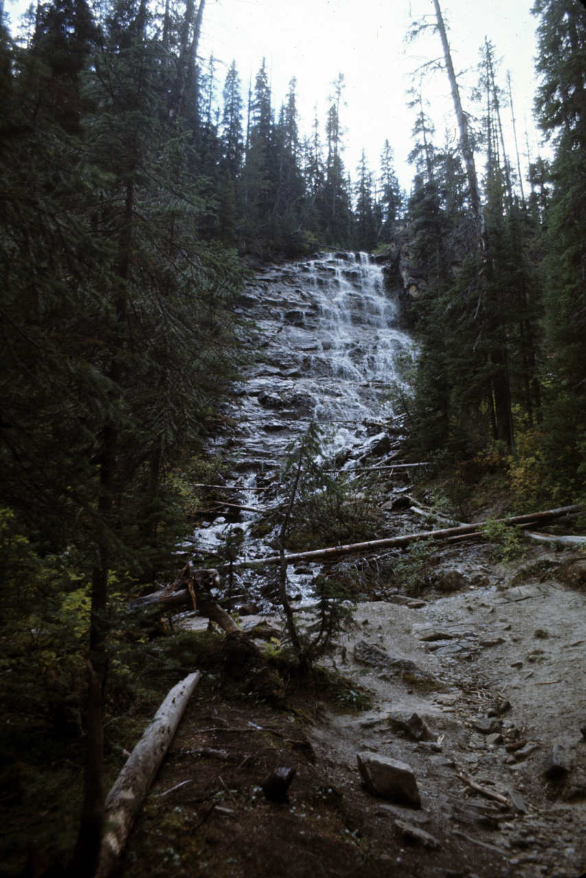 72-09-15, 254, Yoho Park, Tail up to Glacier, BC, Ca