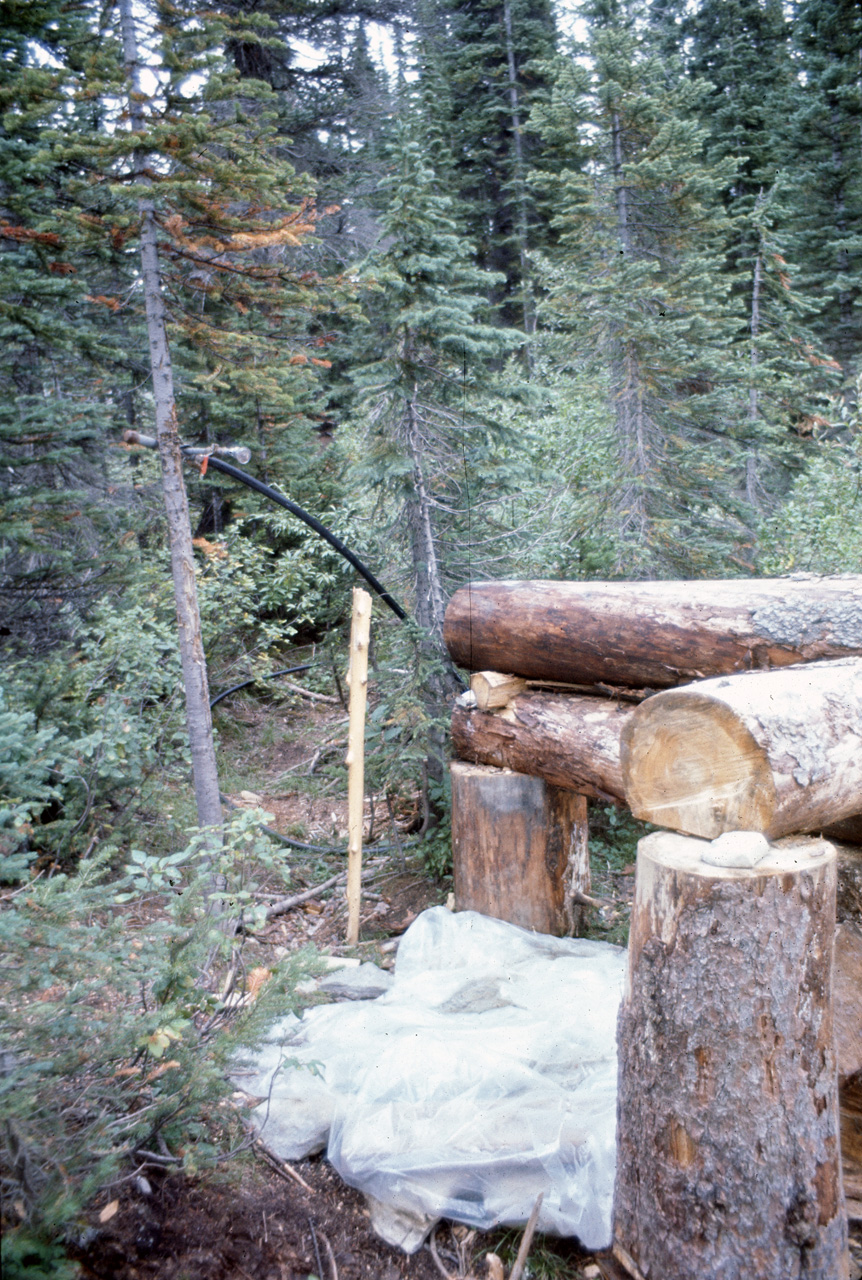 72-09-15, 255, Yoho Park, Tail up to Glacier, BC, Ca