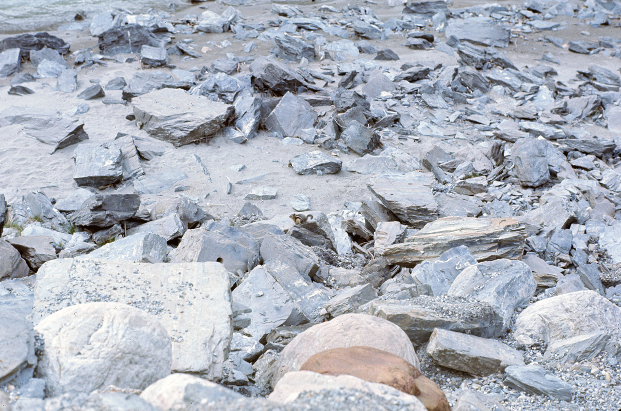 72-09-15, 269, Yoho Park, Natural Bridge, BC, Ca