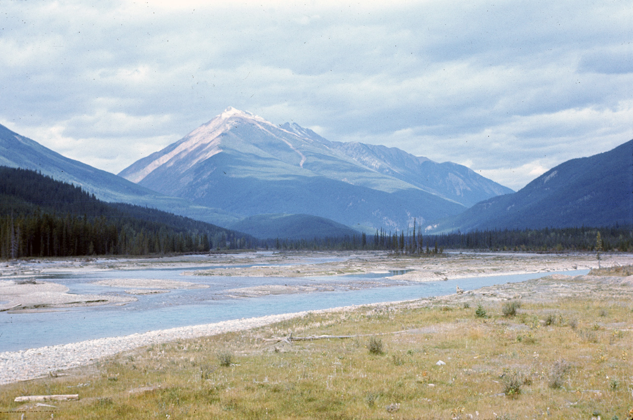 72-09-15, 270, Yoho Park, Road Side View, BC, Ca