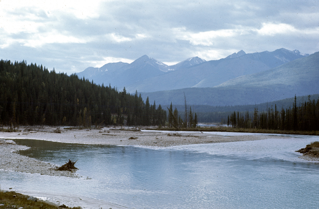 72-09-15, 271, Yoho Park, Road Side View, BC, Ca