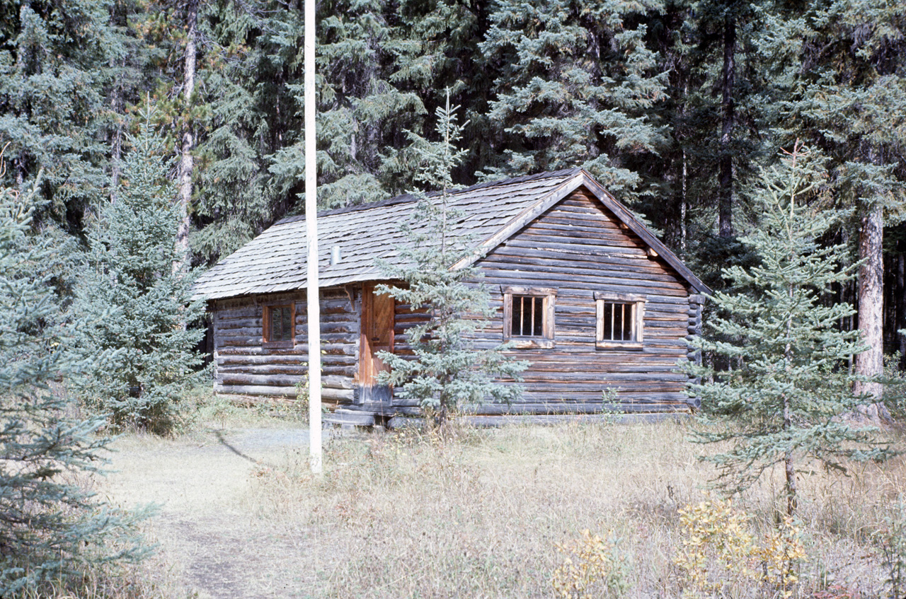 72-09-15, 272, Yoho Park, Road Side View, BC, Ca