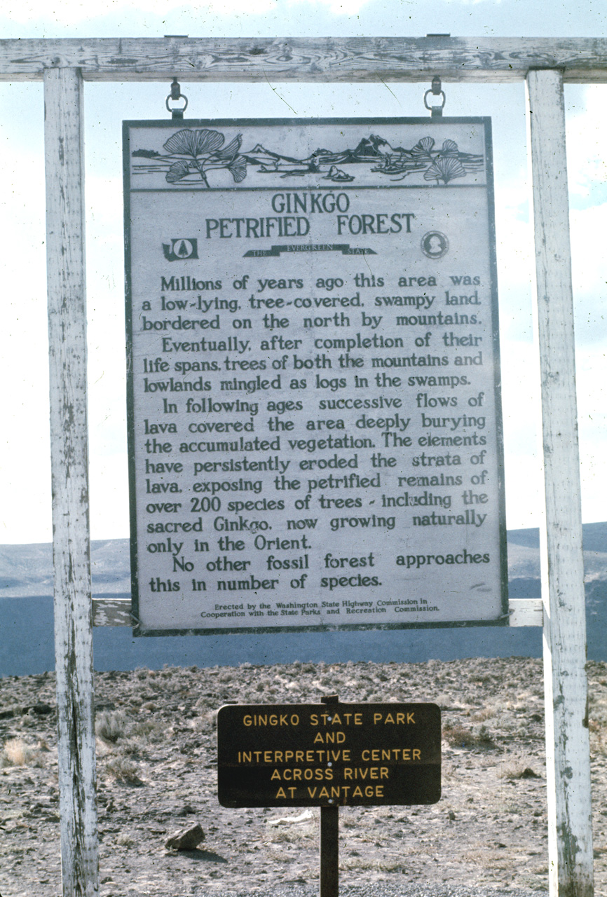 72-09-25, 319, Ginkgo Petrified Forest Sign, Washington