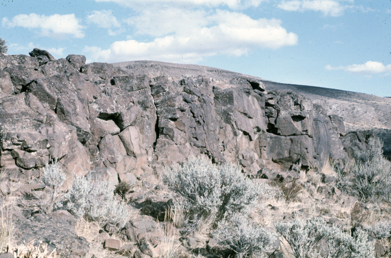 72-09-25, 320, Ginkgo Petrified Forest, Washington