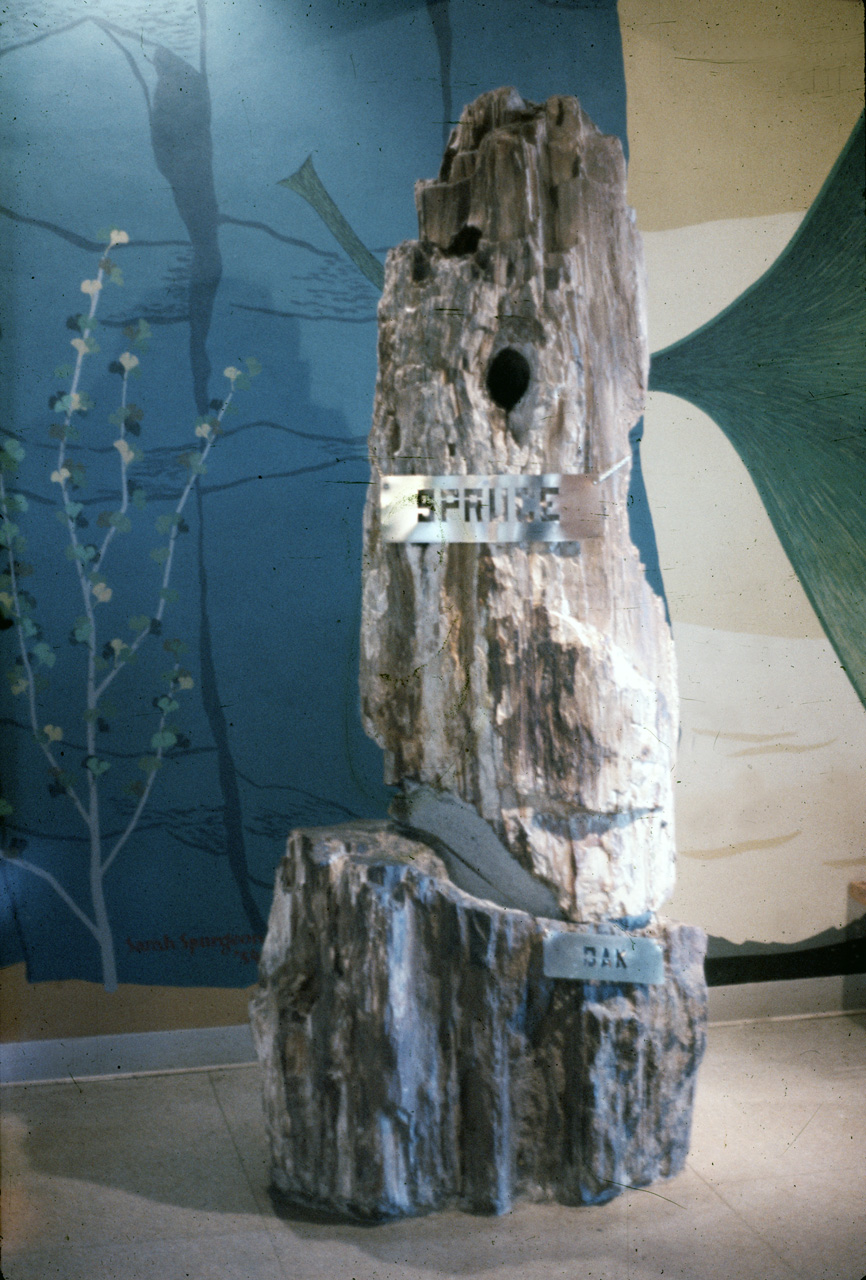 72-09-25, 323, Ginkgo Petrified Forest, Washington