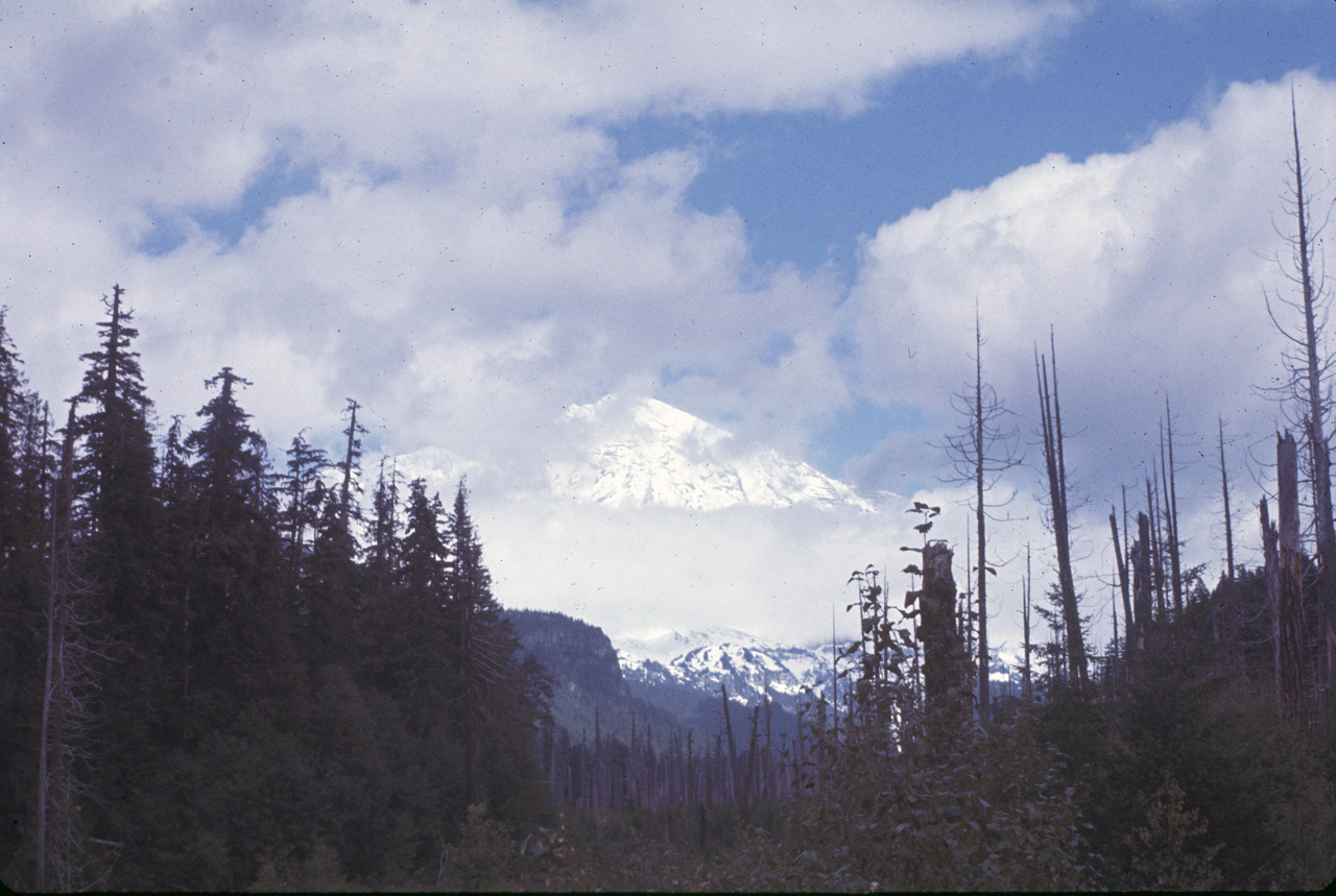 72-09-25, 341, Mt Rainier, Washington