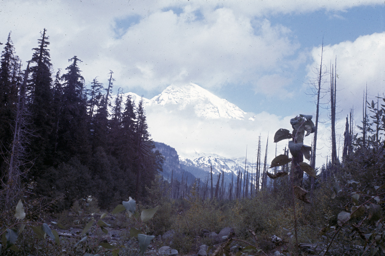 72-09-25, 342, Mt Rainier, Washington