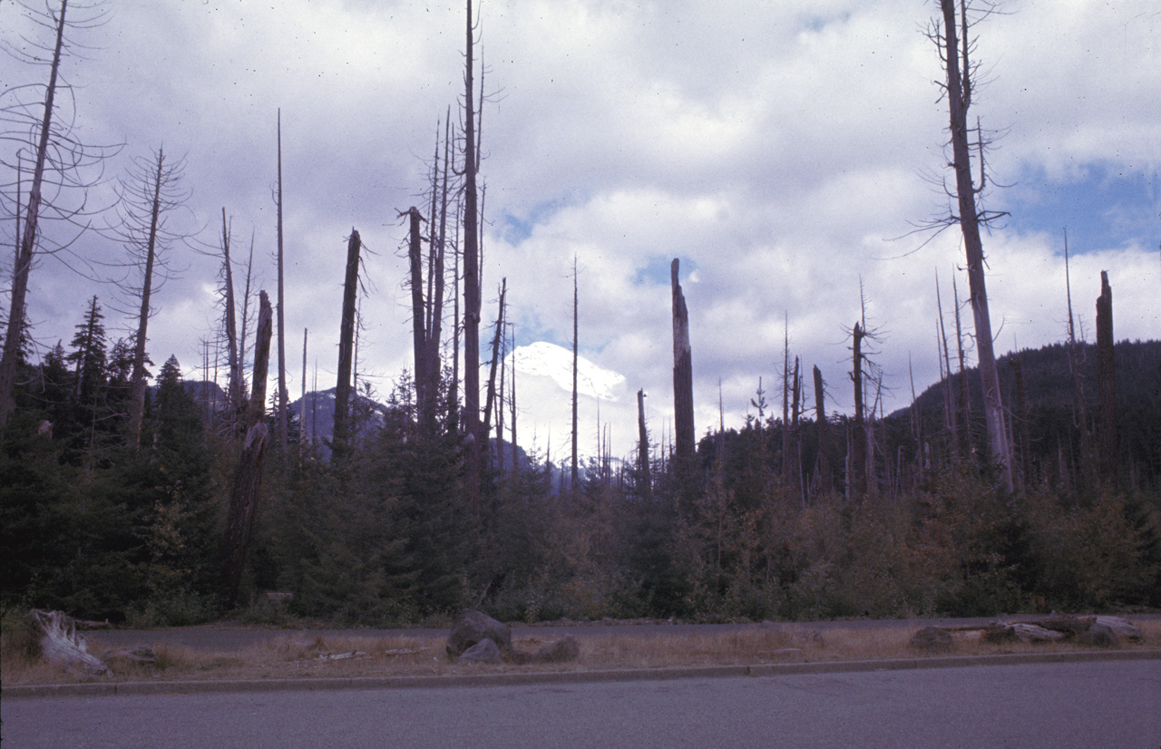 72-09-25, 343, Mt Rainier, Washington