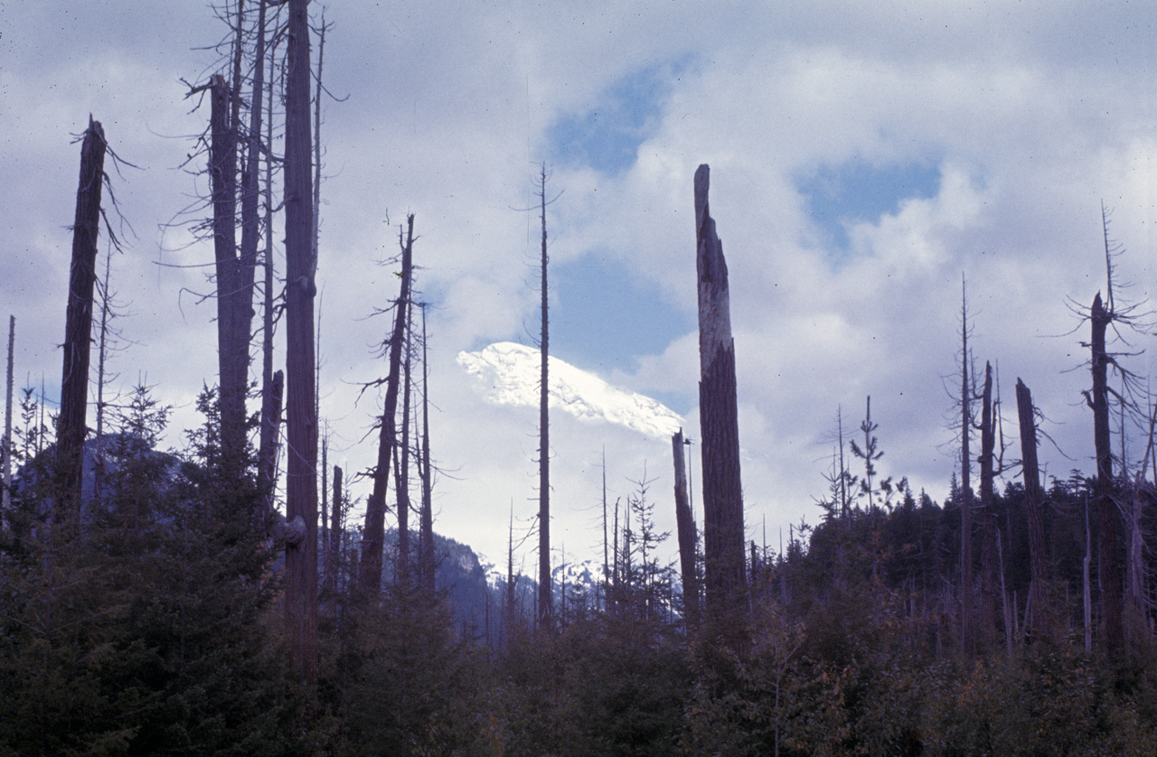 72-09-25, 344, Mt Rainier, Washington