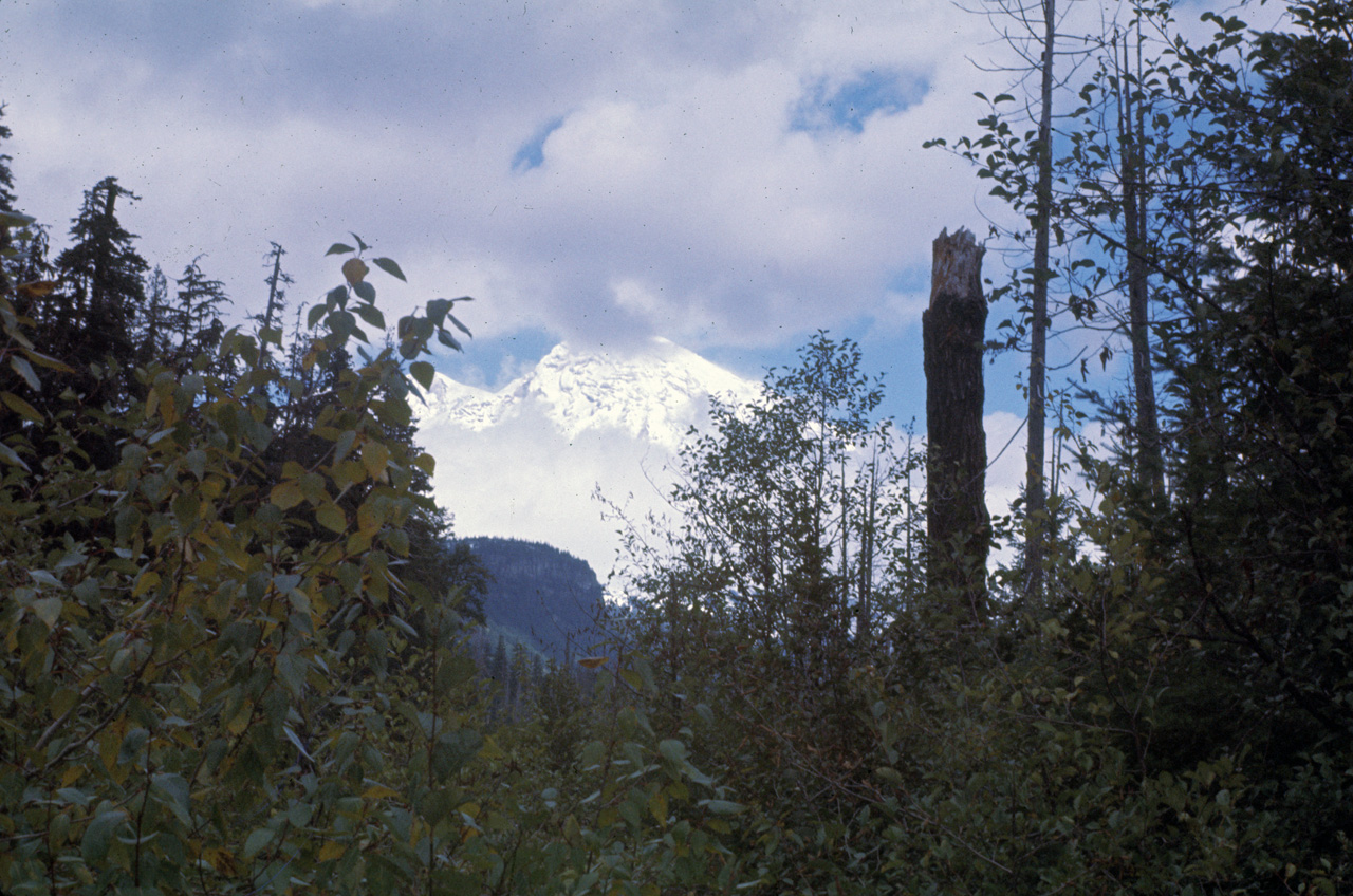 72-09-25, 346, Mt Rainier, Washington