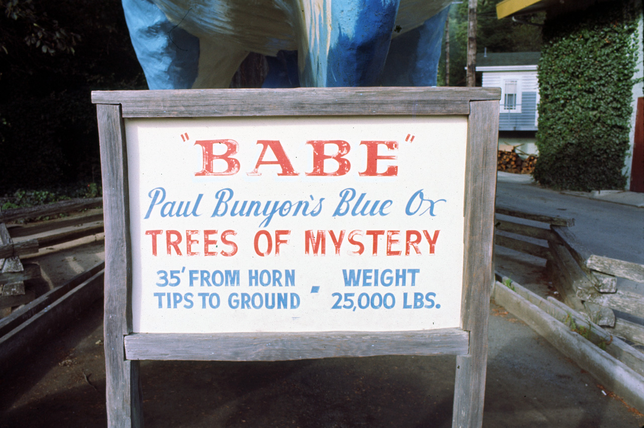 72-10-01, 015, Redwood Forest, California