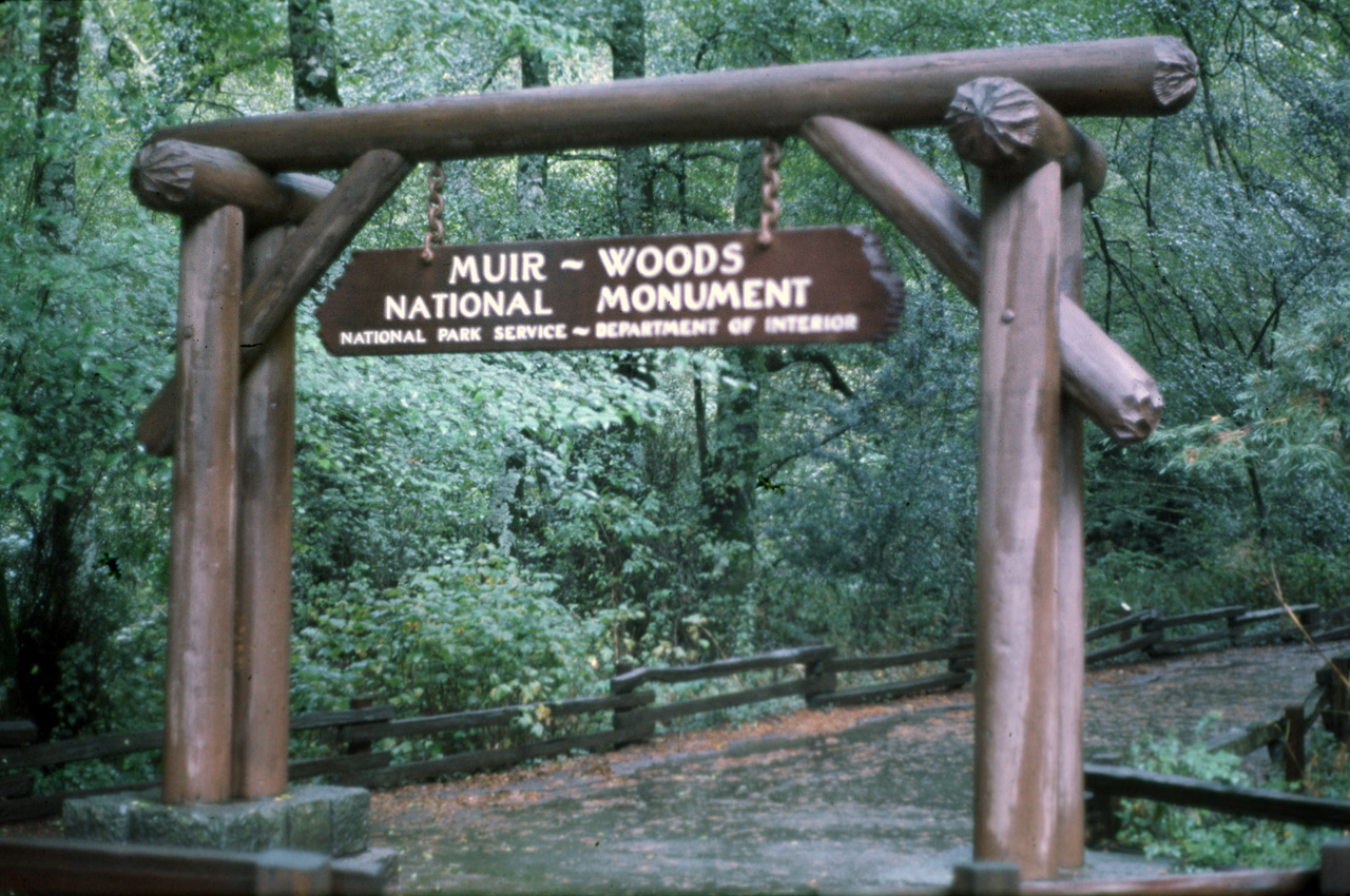 72-10-01, 077, Muir Woods National Monument, California