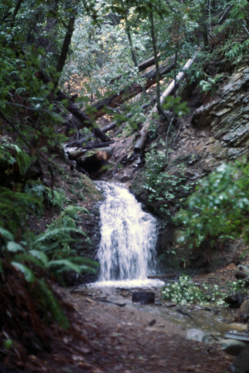 72-10-01, 088, Portola State Park, California