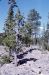 72-10-01, 062, Lassen Volcanic National Park, California