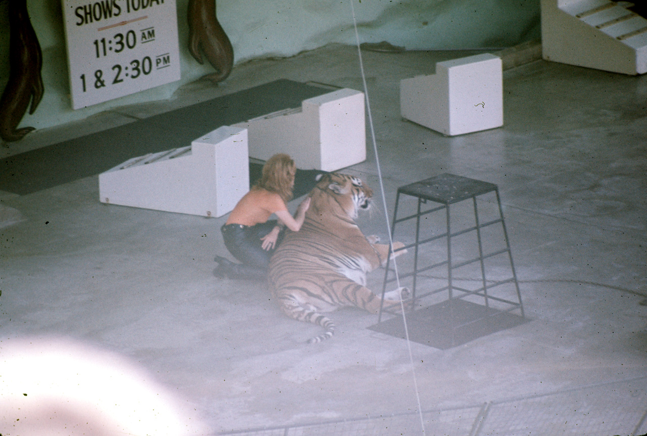 72-10-01, 113, San Deigo Zoo, San Deigo, California