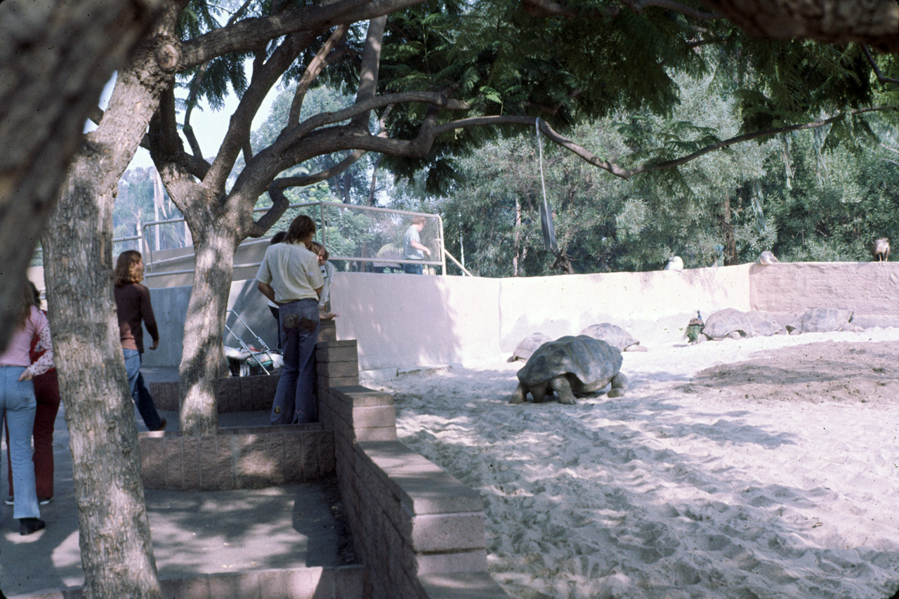 72-10-01, 116, San Deigo Zoo, San Deigo, California