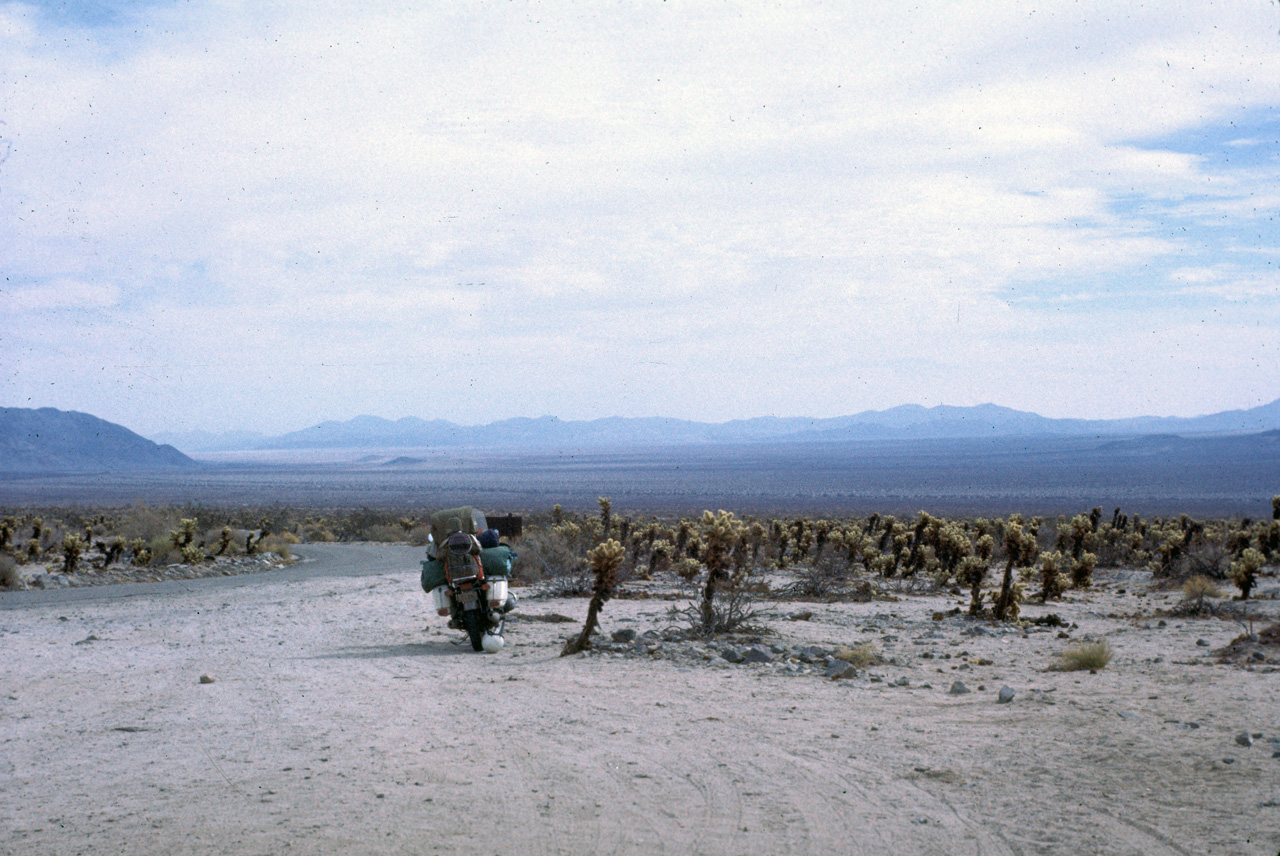 72-10-01, 126, Joshua Tree National Monument, California