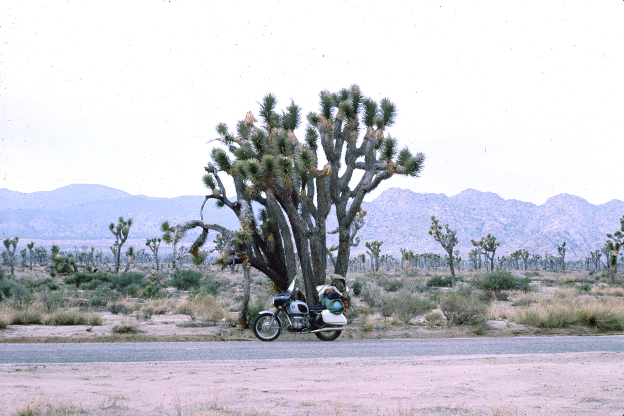 72-10-01, 127, Joshua Tree National Monument, California