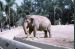 72-10-01, 103, San Deigo Zoo, San Deigo, California