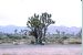 72-10-01, 127, Joshua Tree National Monument, California