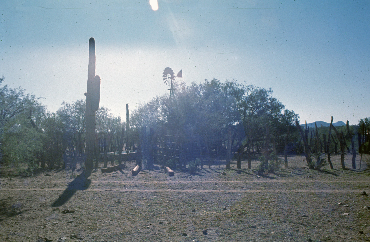 72-11-01, 017, Organ Pipe Cactus National Monument, Arizona