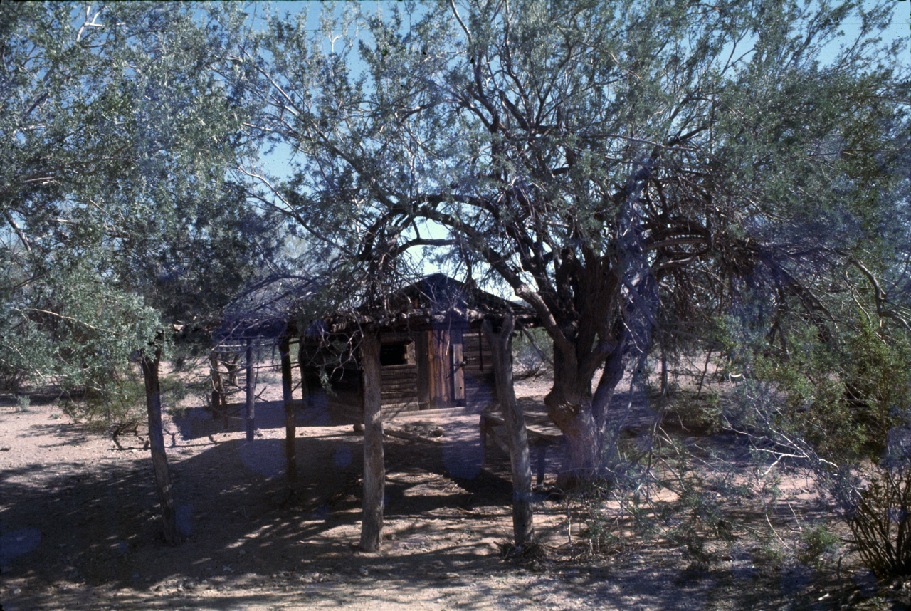 72-11-01, 018, Organ Pipe Cactus National Monument, Arizona