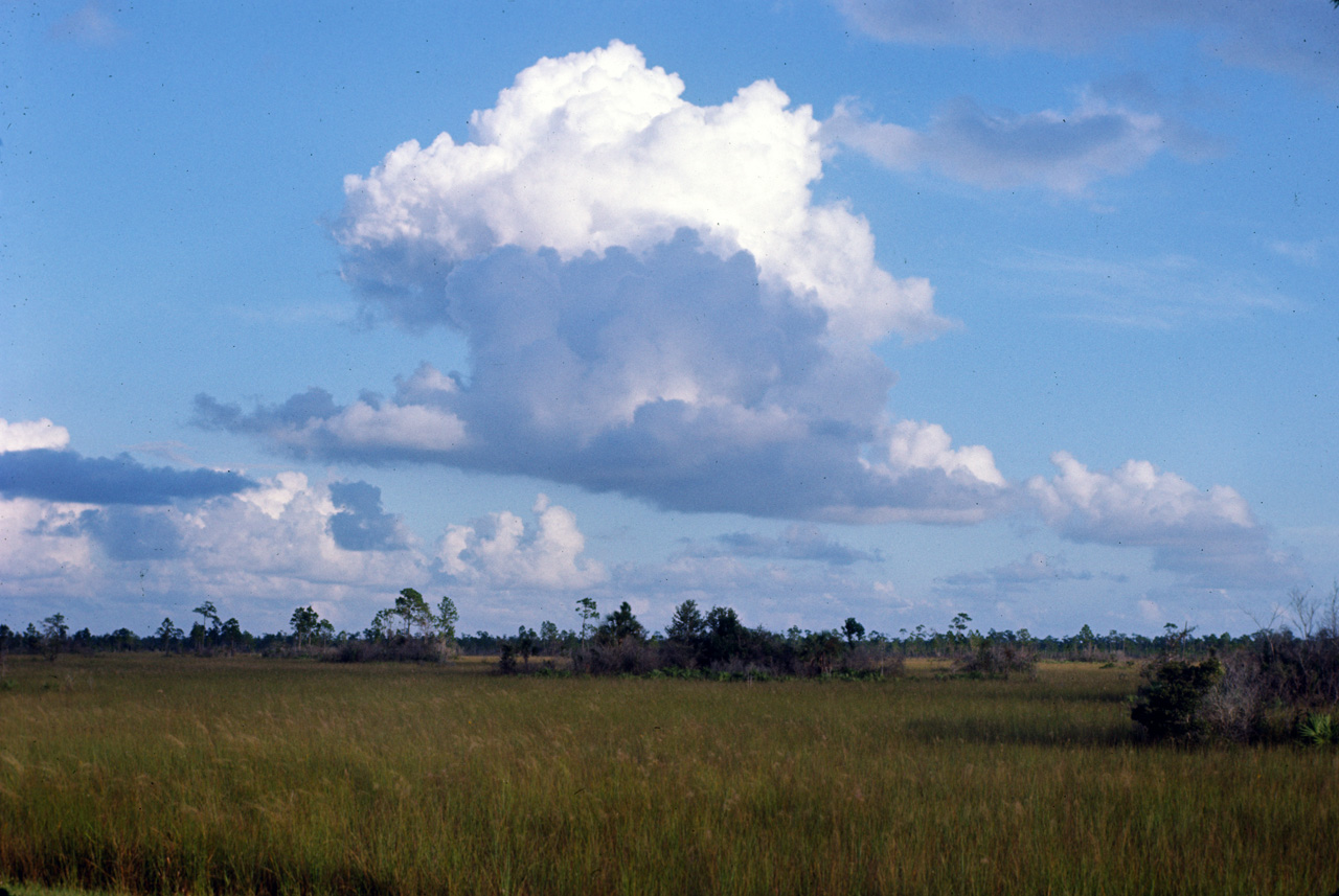 72-11-01, 030, Everglades National Park, Floridia