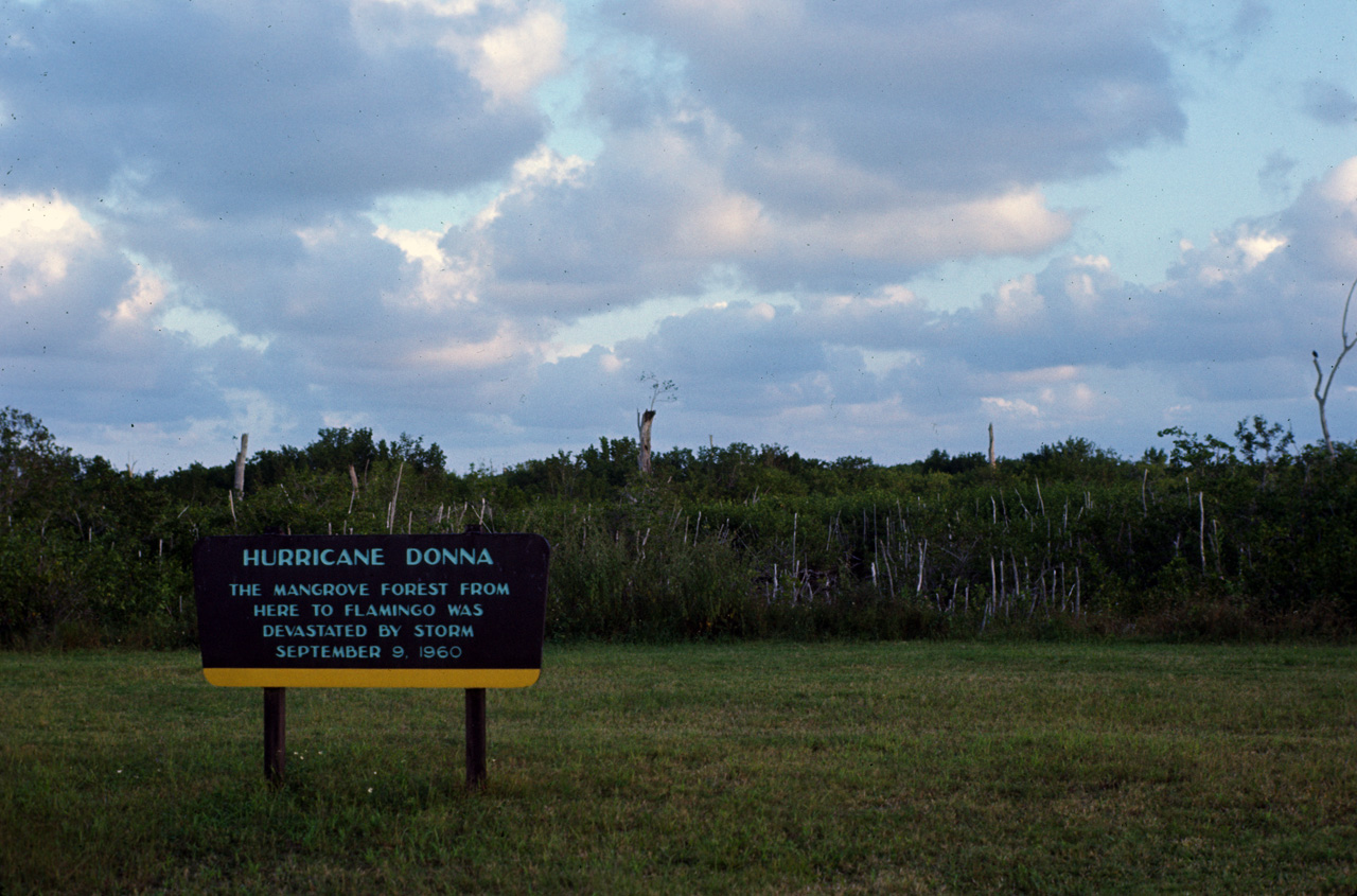 72-11-01, 032, Everglades National Park, Floridia