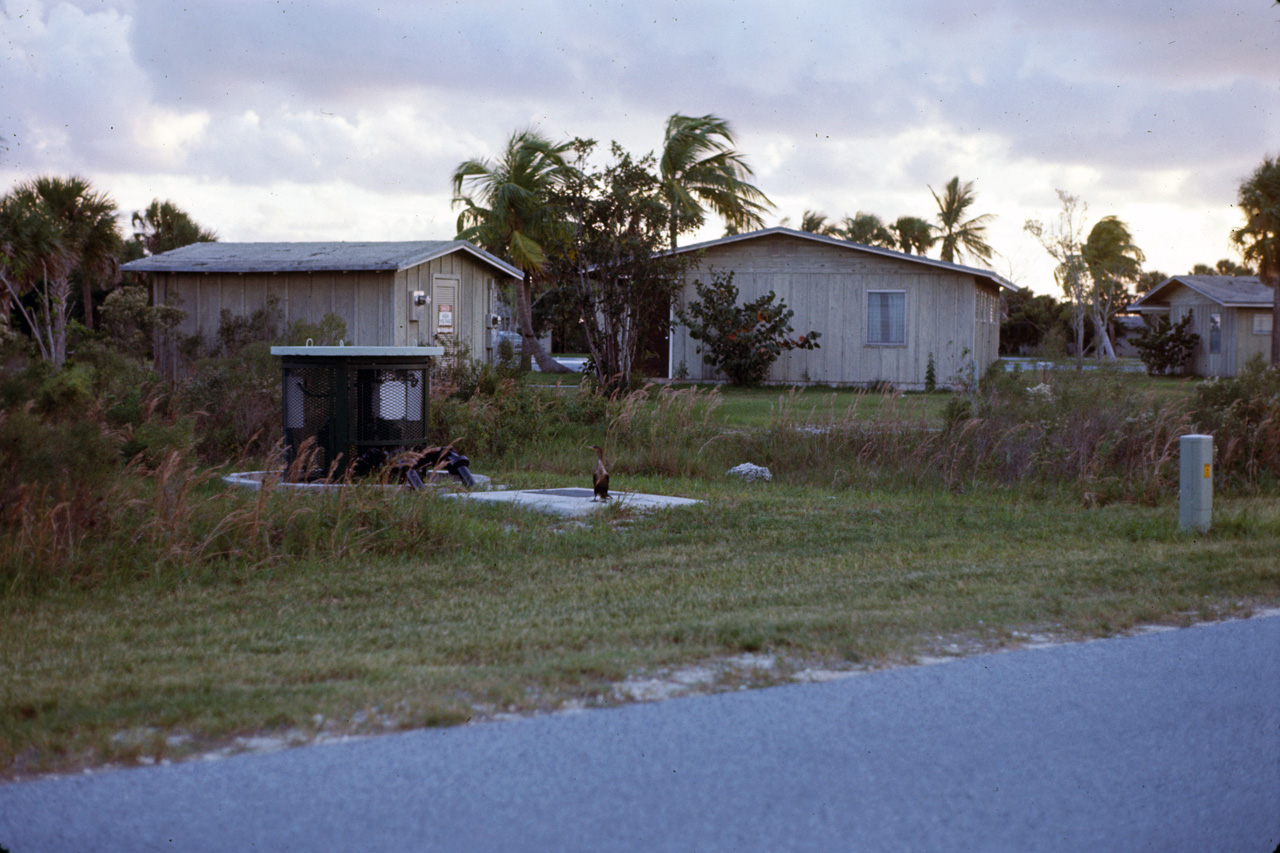 72-11-01, 034, Everglades National Park, Floridia