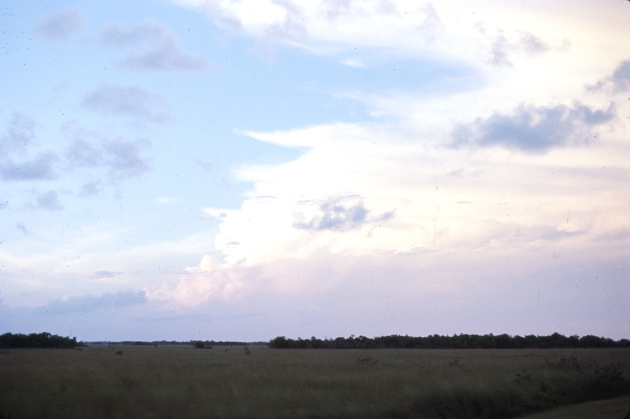 72-11-01, 035, Everglades National Park, Floridia