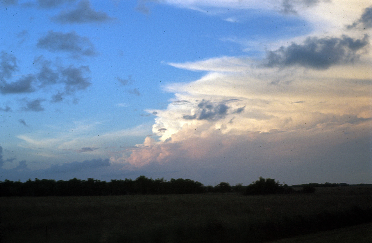 72-11-01, 036, Everglades National Park, Floridia