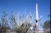 72-11-01, 016, Organ Pipe Cactus National Monument, Arizona