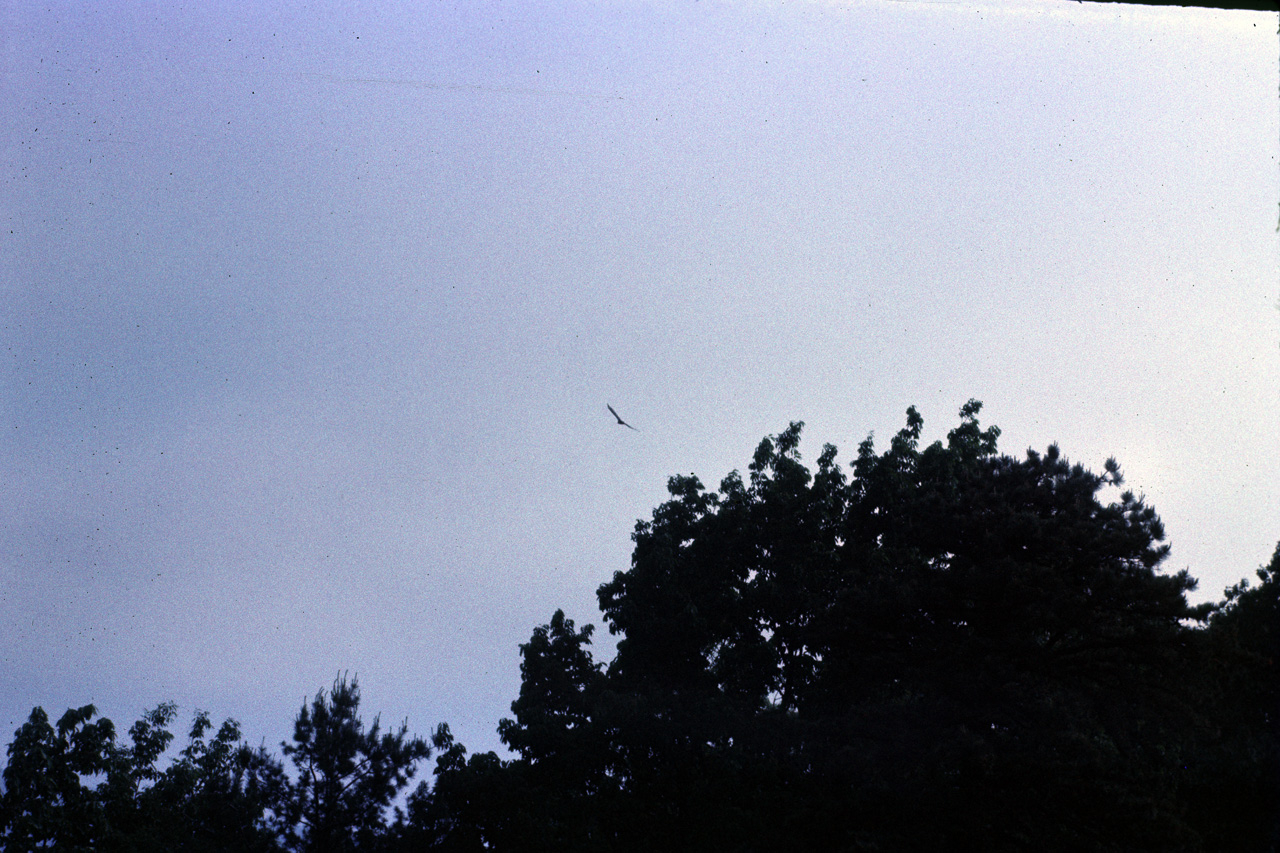 74-06-00, 05, Shenandoah Nat Park, Virginia