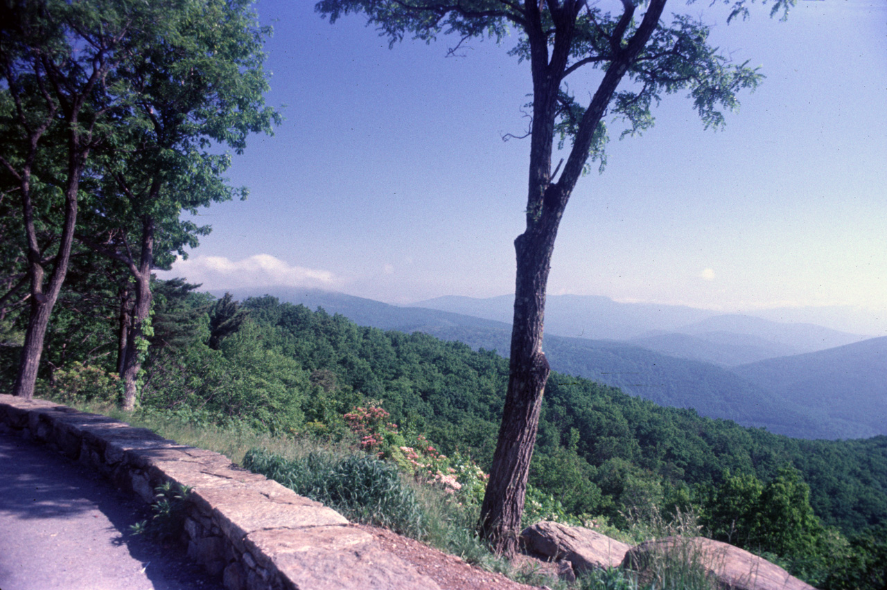 74-06-00, 14, Shenandoah Nat Park, Virginia