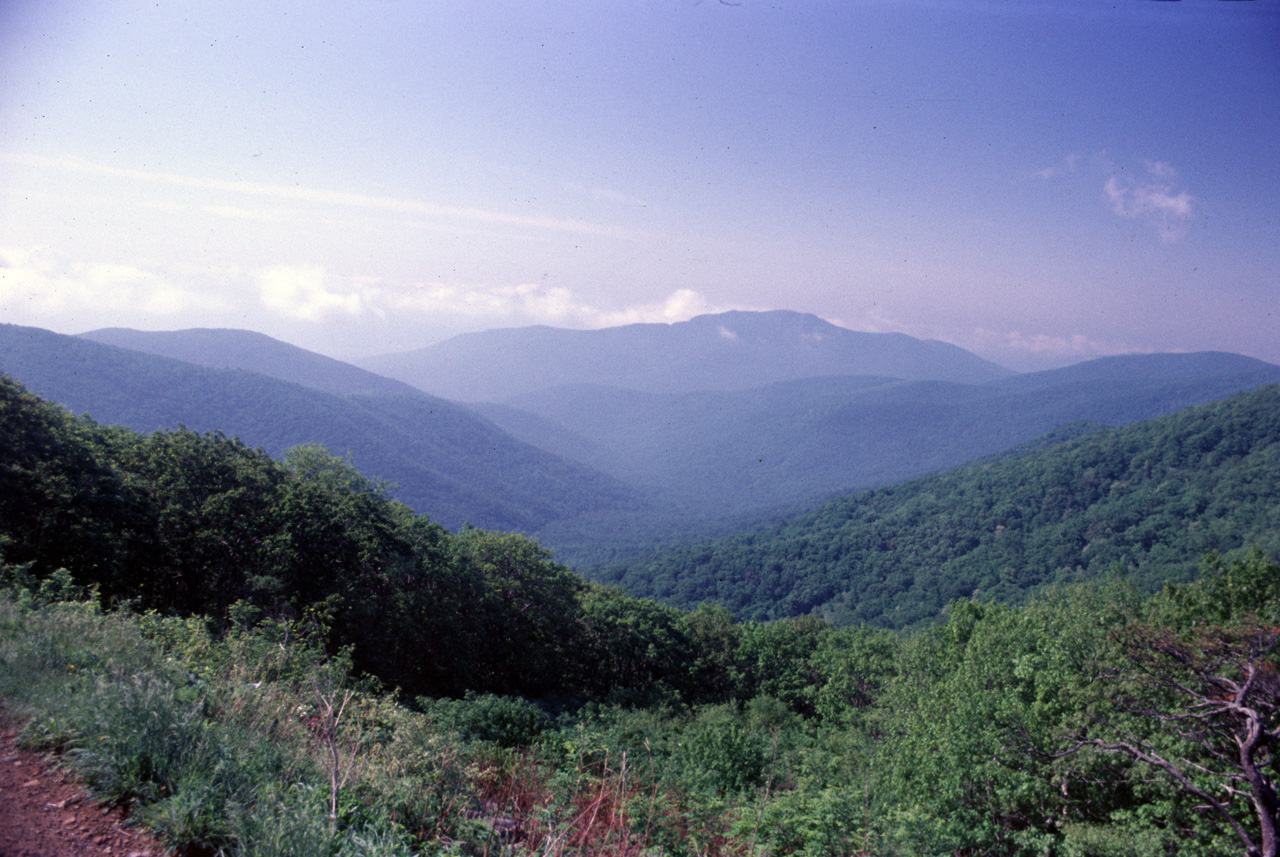 74-06-00, 15, Shenandoah Nat Park, Virginia