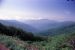 74-06-00, 15, Shenandoah Nat Park, Virginia