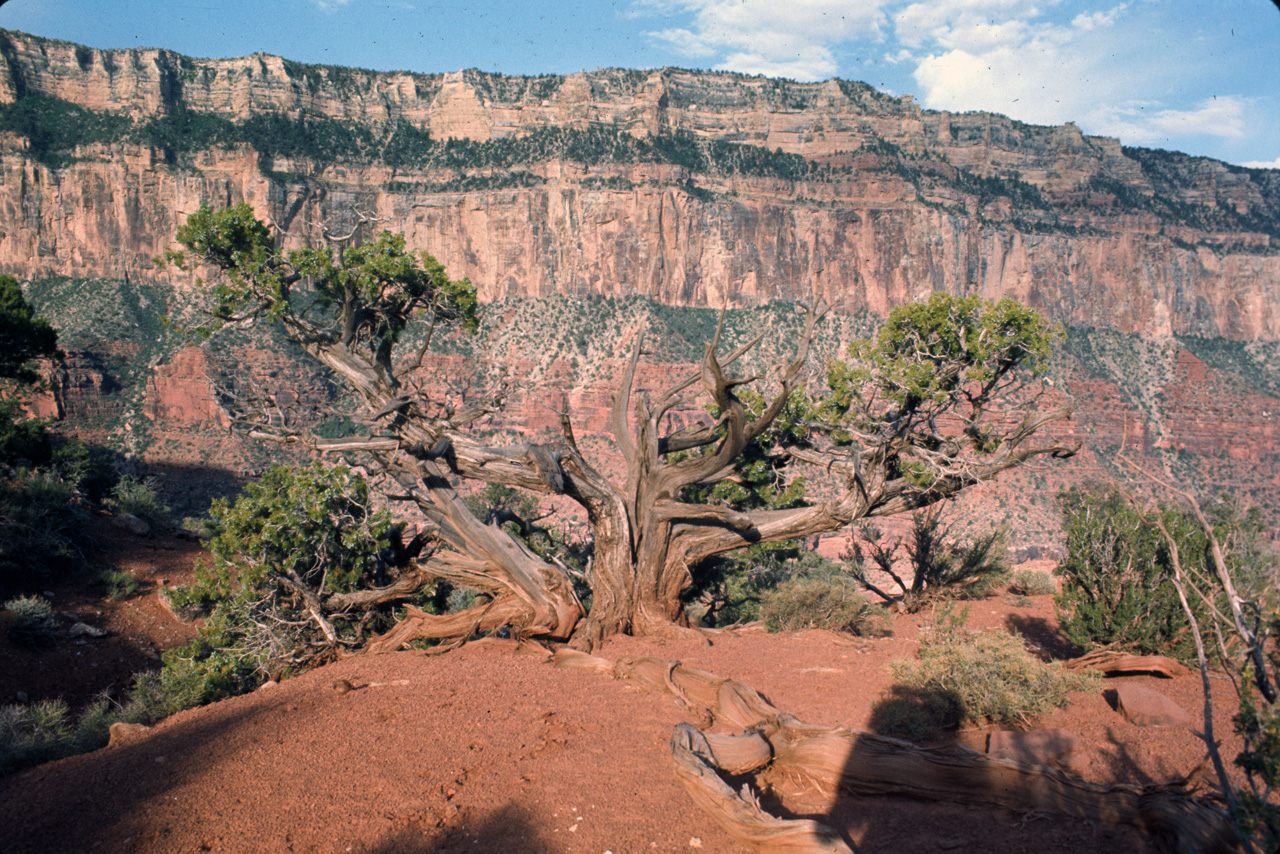 74-06-04, 23, Grand Canyon S