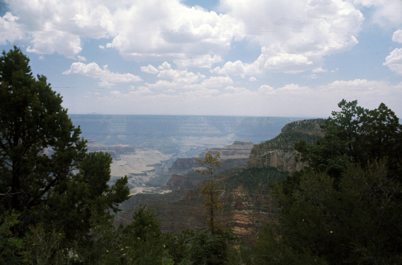 74-06-04, 54, Grand Canyon N. Nat Park, Arizona