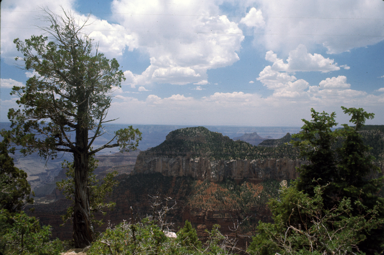 74-06-04, 55, Grand Canyon N. Nat Park, Arizona