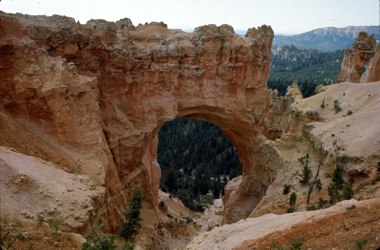 74-06-05, 24, Bryce Canyon Nat Park, Arizona