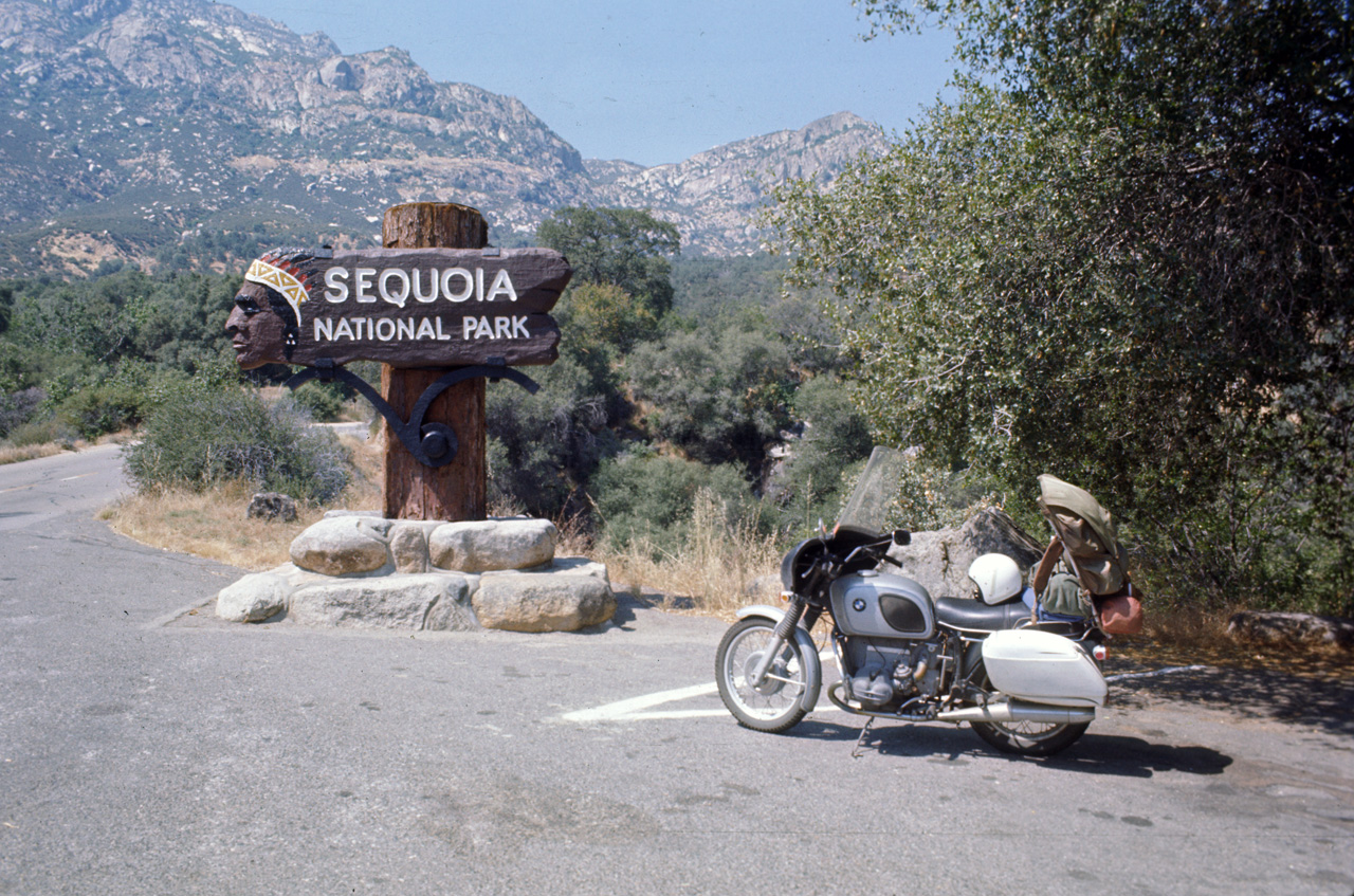 74-06-06, 36, Sequoia Nat Park, Calif