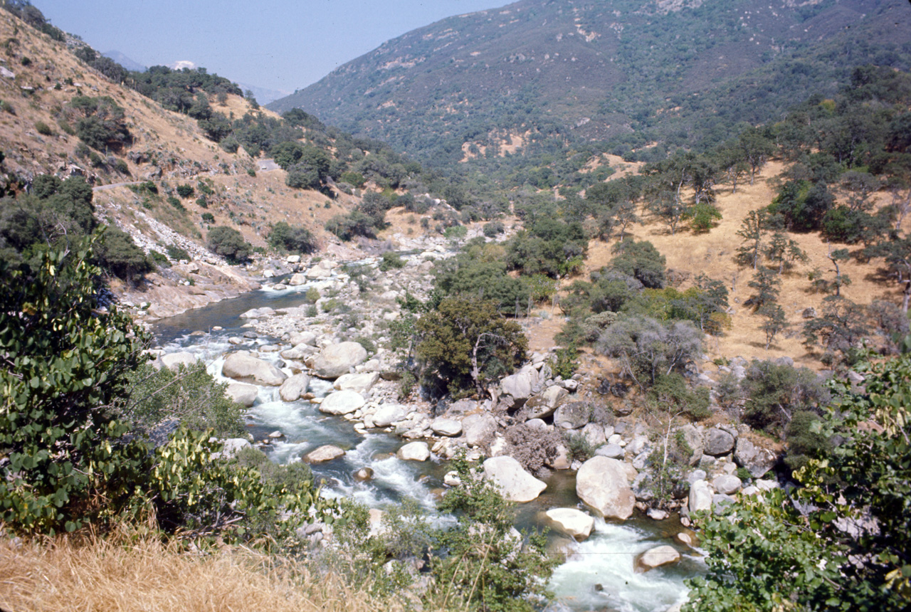 74-06-06, 37, Sequoia Nat Park, Calif