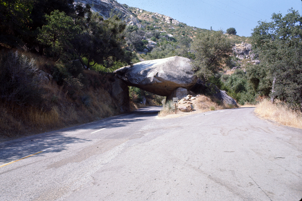 74-06-06, 38, Sequoia Nat Park, Calif