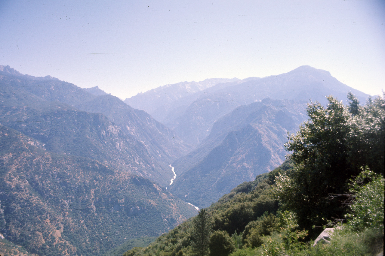 74-06-06, 48, Sequoia Nat Park, Calif