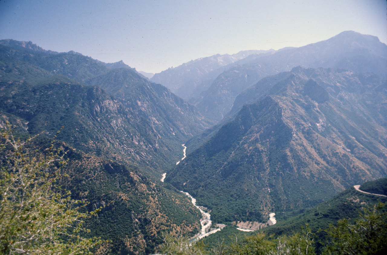 74-06-06, 49, Sequoia Nat Park, Calif