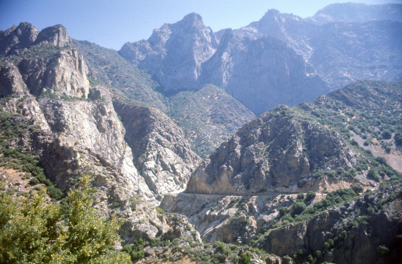 74-06-06, 50, Sequoia Nat Park, Calif