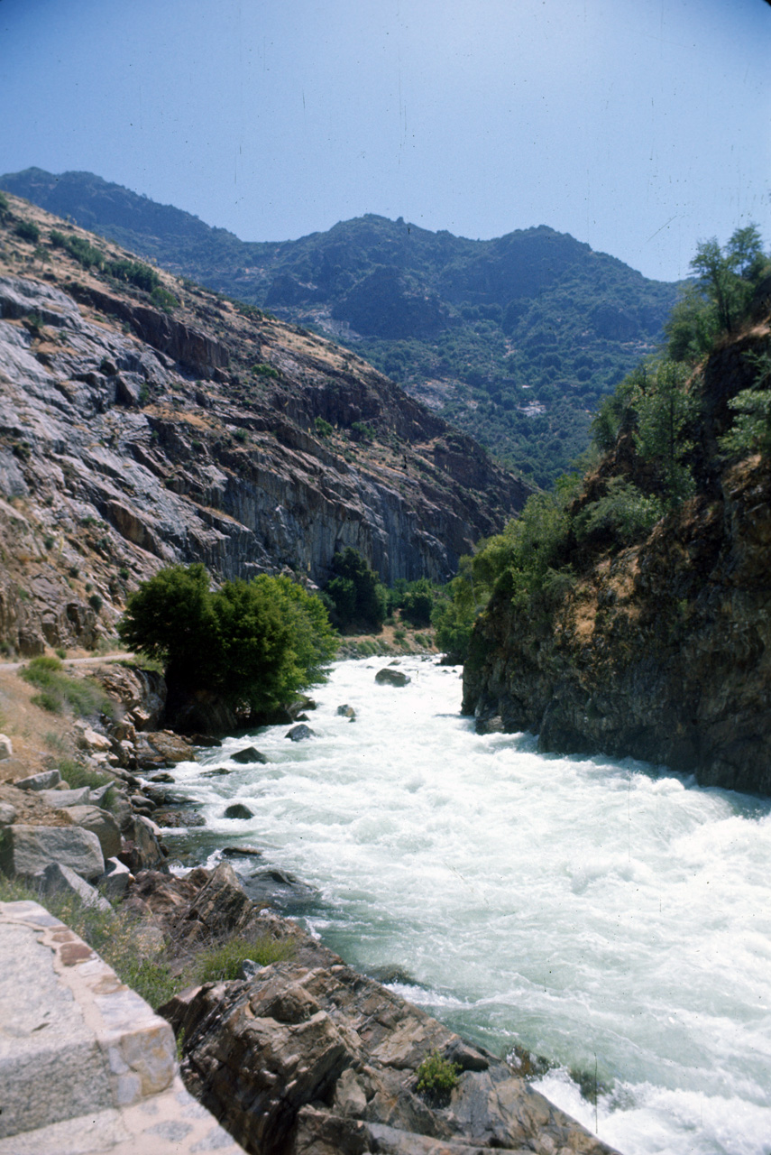 74-06-06, 55, Kings Canyon Nat Park, Calif