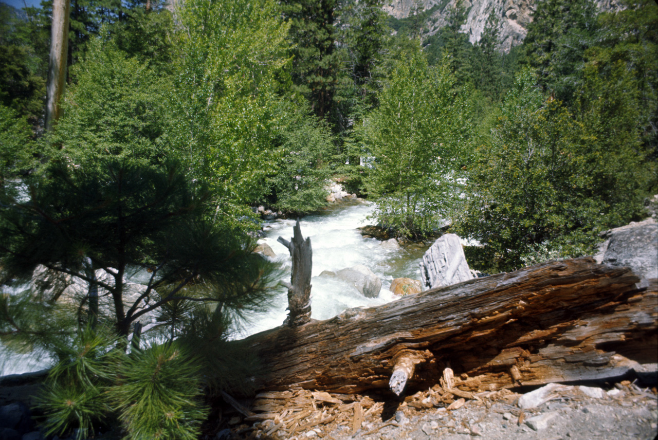 74-06-06, 61, Kings Canyon Nat Park, Calif